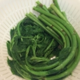 絶品山菜 アイコ ミヤマイラクサ のおひたし レシピ 作り方 By アボカドプリン 楽天レシピ 絶品山菜 アイコ ミヤマイラクサ のおひたし レシピ 作り方 By アボカドプリン 楽天レシピ